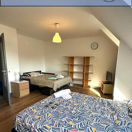 Appartement 4 Personnes En Plein Centre De コルマール エクステリア 写真
