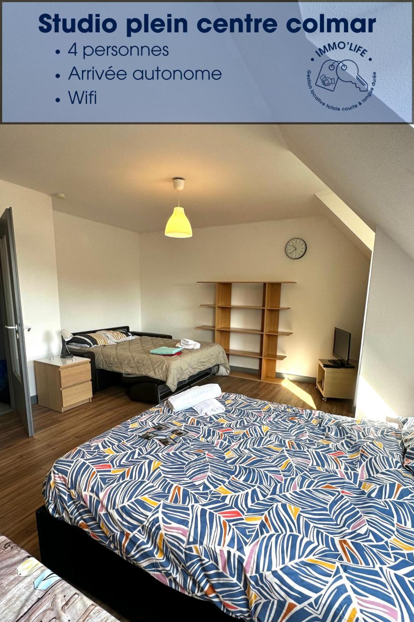 Appartement 4 Personnes En Plein Centre De コルマール エクステリア 写真